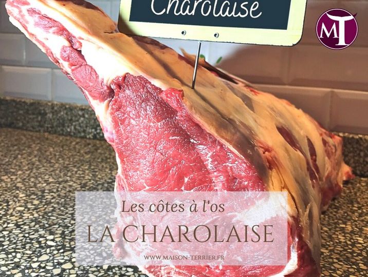 Les côtes à l'os - charolaise [800x600]