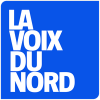 VDN logo small