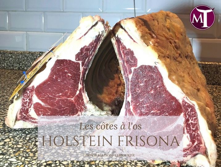 côtes a l'os - Holstein frisona [800x600]