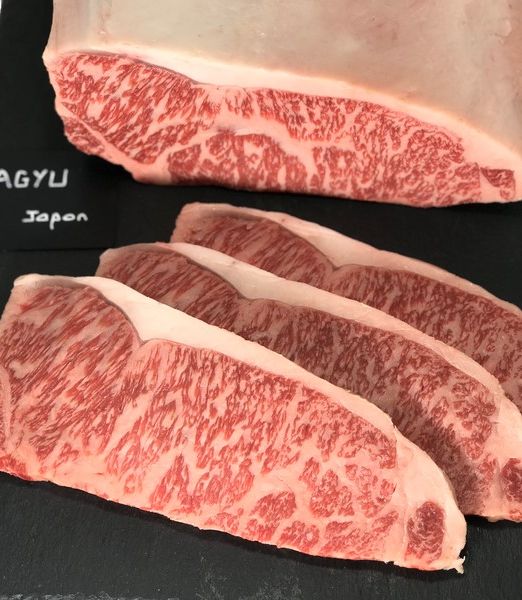 9100 - wagyu-MT [800x600]